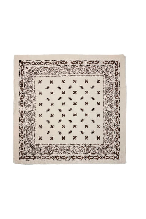 Oversize Parisian Paisley Print Frayed Square Scarf With Border