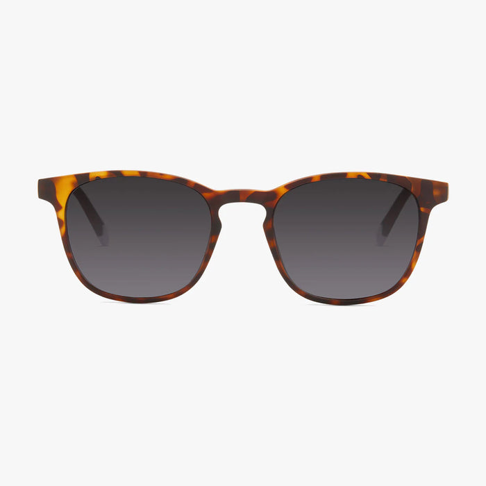 Barner Dalston Tortoise Sunglasses
