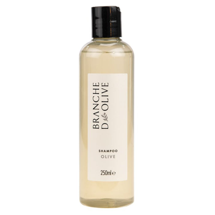 Olive Shampoo