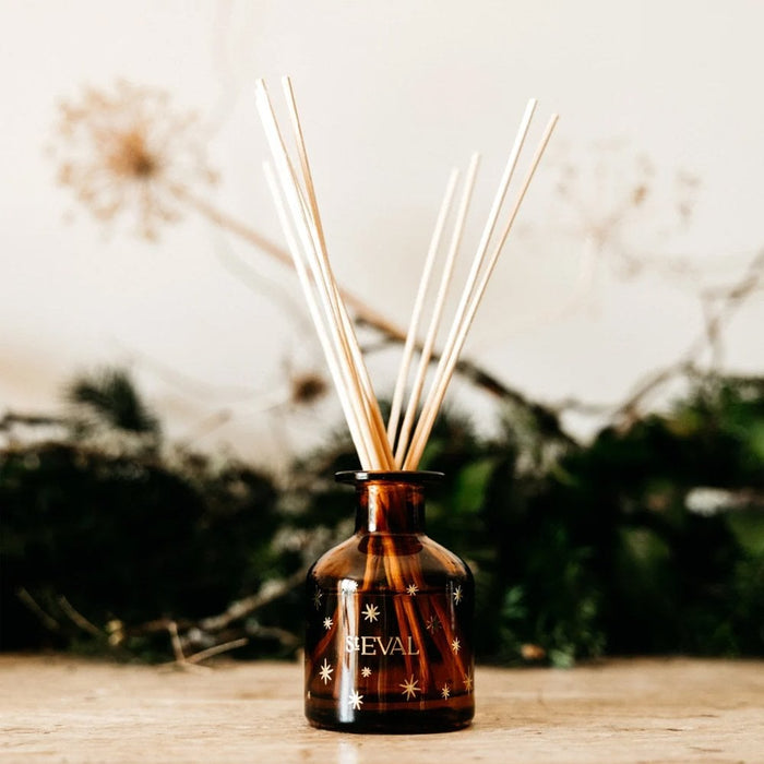 Mini Christmas Winter Thyme Diffuser
